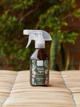 brilla-hojas-natural-para-plantas-jardineria-en-casa-cuidado-de-plantas-habibi-plantitas.jpg